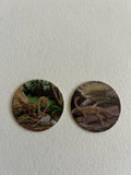 Dinosaur POGS set