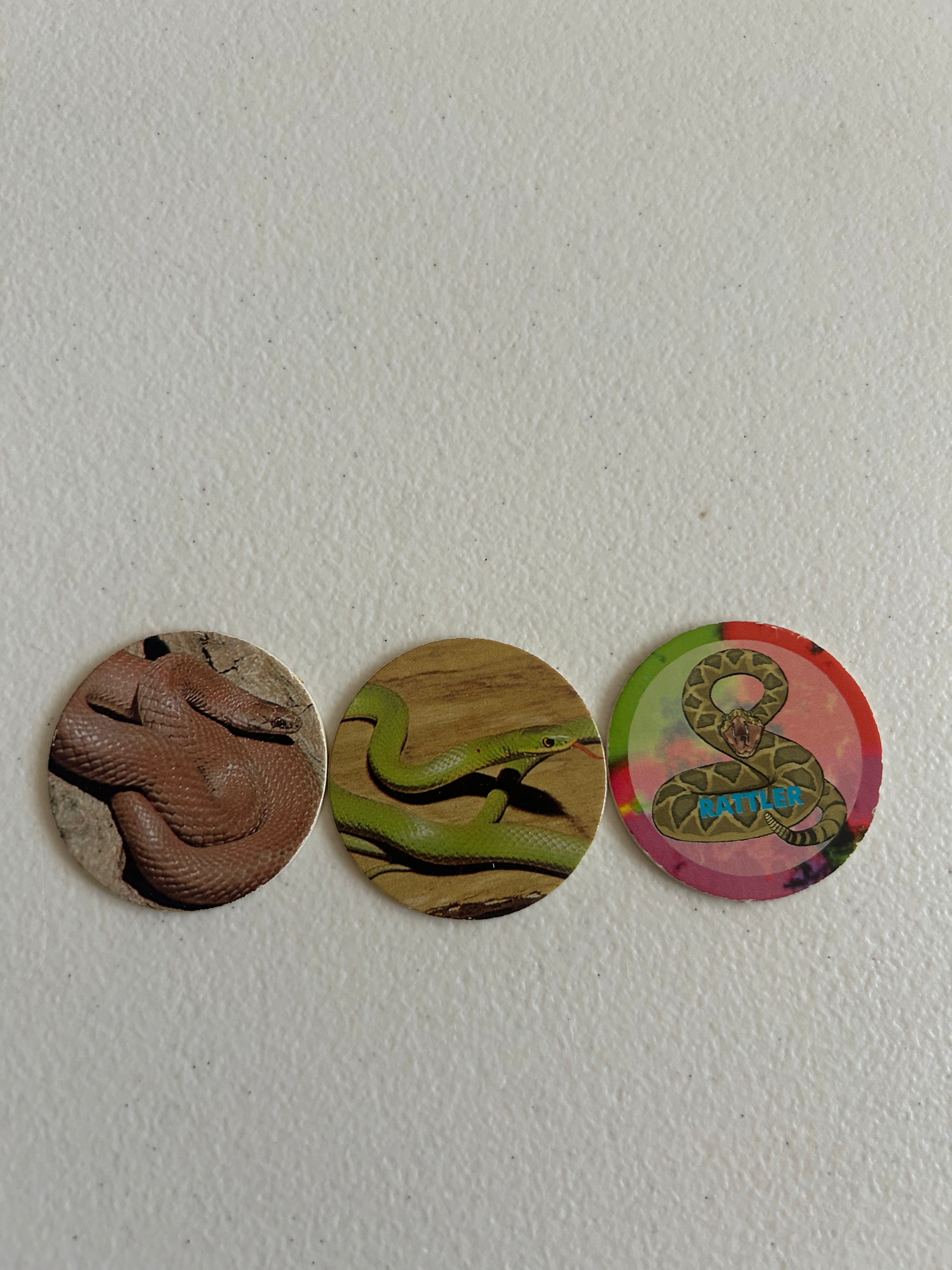Snakes POGS set
